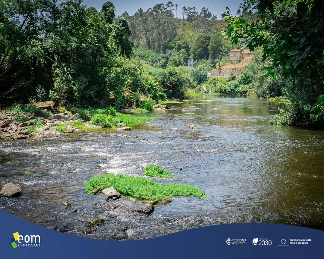 Galeria: Equipa do EOM celebra encerramento do ano letivo em contacto com a natureza — imagem 8